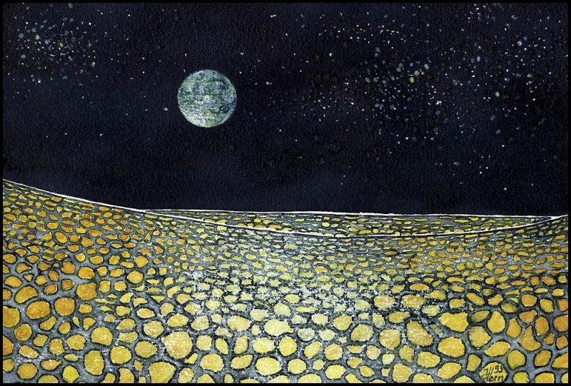 Nachtlandschaft
