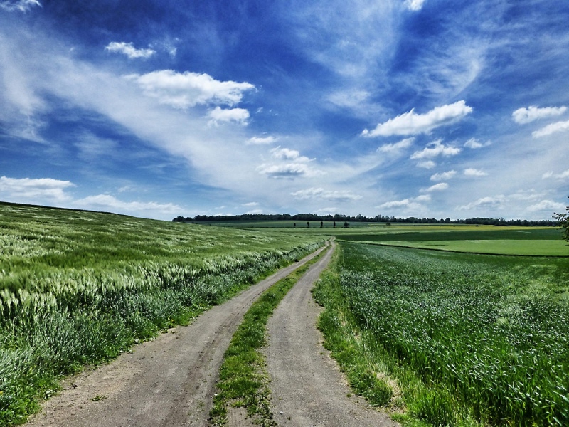 Weg in der Nähe von Mayen in der Eifel