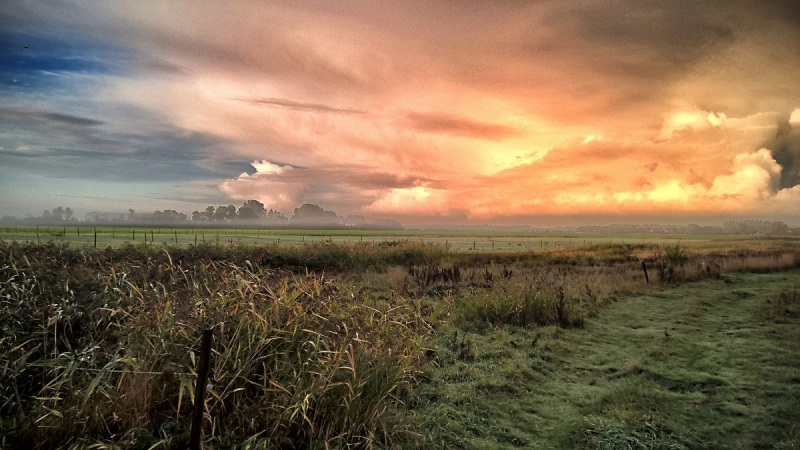 Landschaft bei Koudekerke - Walcheren