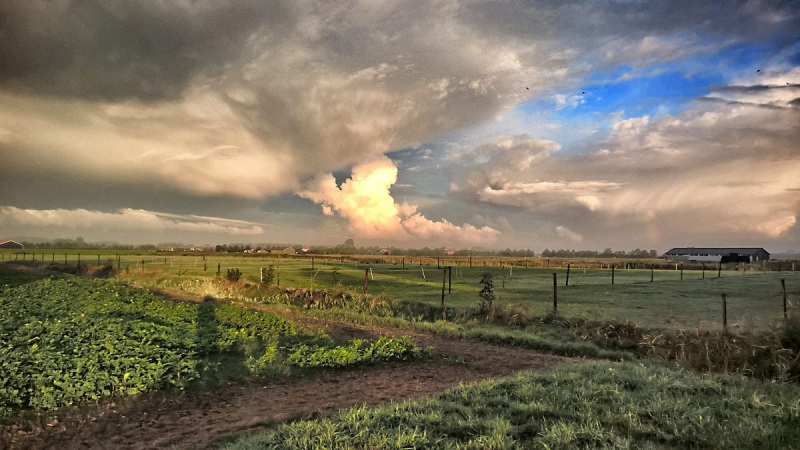 Landschaft bei Koudekerke - Walcheren