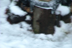 F-059-a-700Px