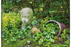 Impressionen aus dem Garten