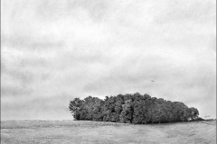 Wald bei Kreutzhäuschen - Zeichnung