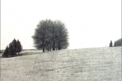 Baumgruppe bei Overath - Zeichnung