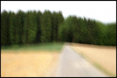 Wald bei Overath