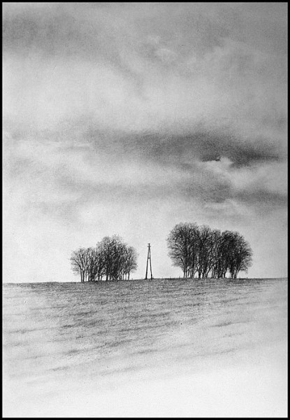 1_z-Baumgruppe-bei-Halzemich-700Px