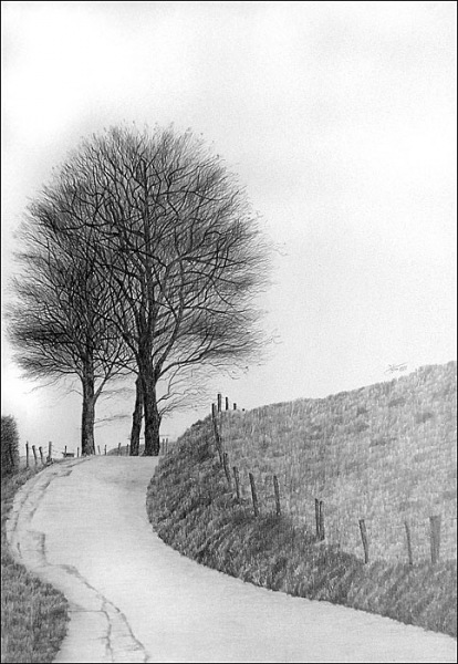 z-Baum-bei-Frielingshausen-700Px