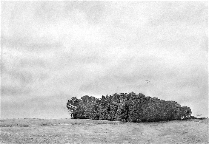 z-Baumgruppe-bei-Kreutzhaueschen-700Px