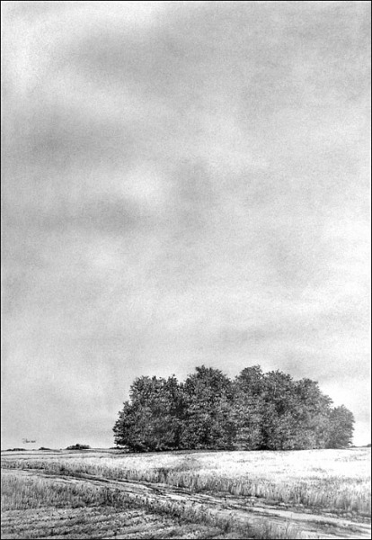 z-Baumgruppe001-700Px