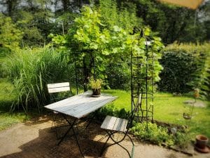 Sitzplätze in unserem Garten am wilden Wein